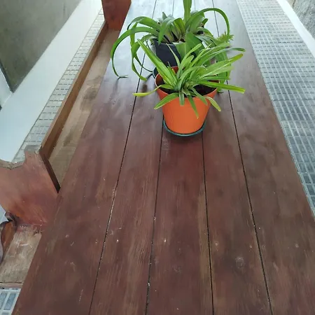 Дом отдыха Casa Rua Dos Loureiros