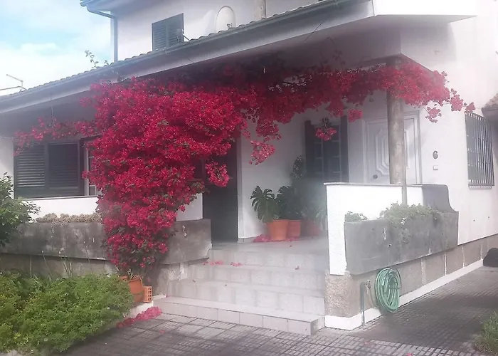 Casa Rua Dos Loureiros Holiday home *