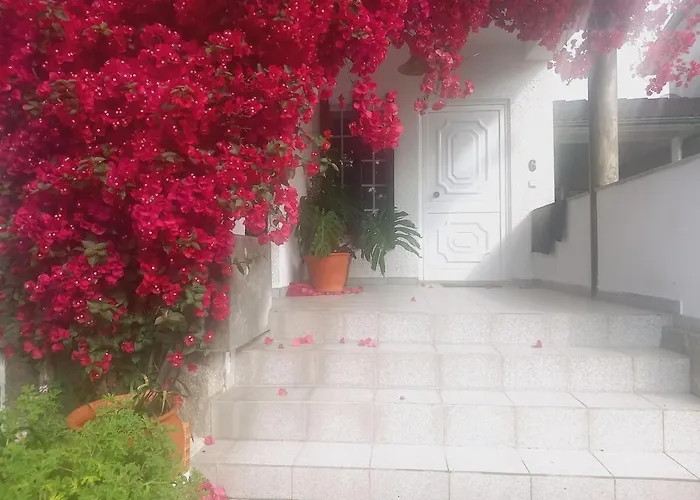 Casa Rua Dos Loureiros Holiday home *